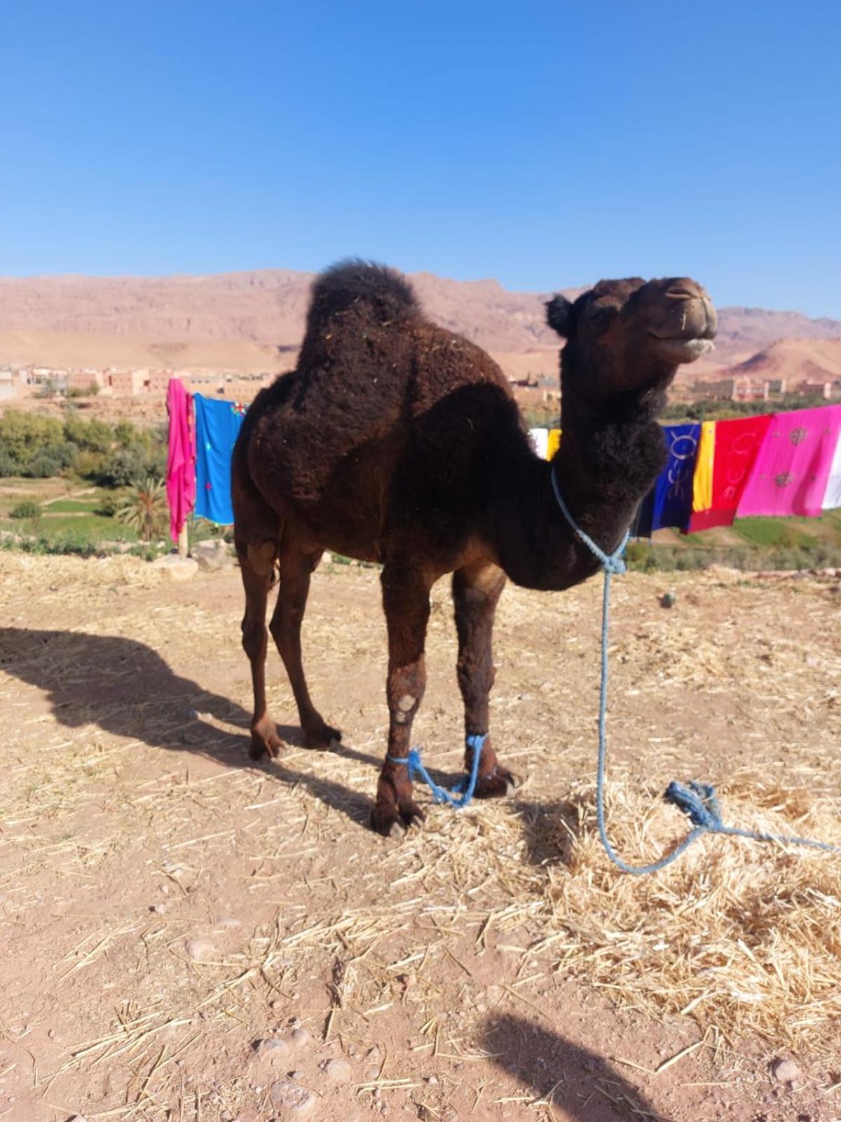 Riad Iriki Tinghir Esterno foto